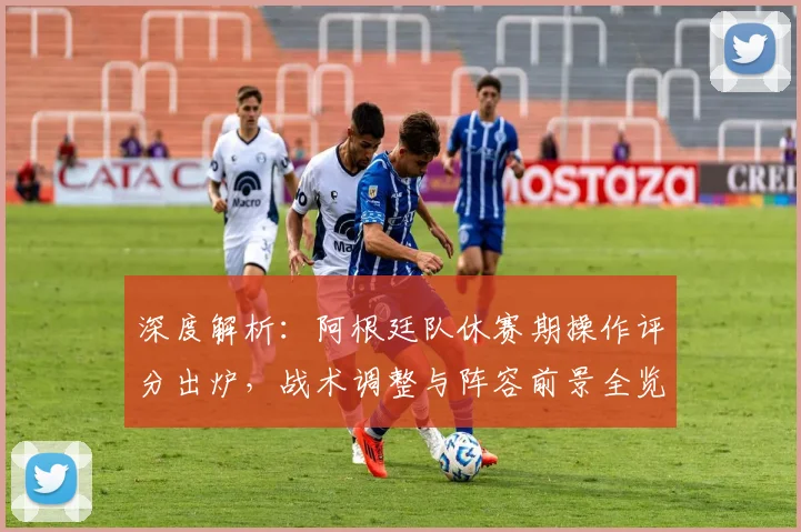 深度解析：阿根廷队休赛期操作评分出炉，战术调整与阵容前景全览