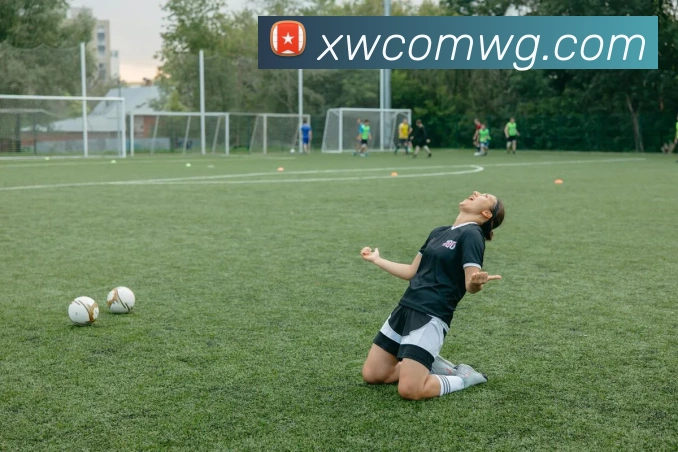 奖项证书